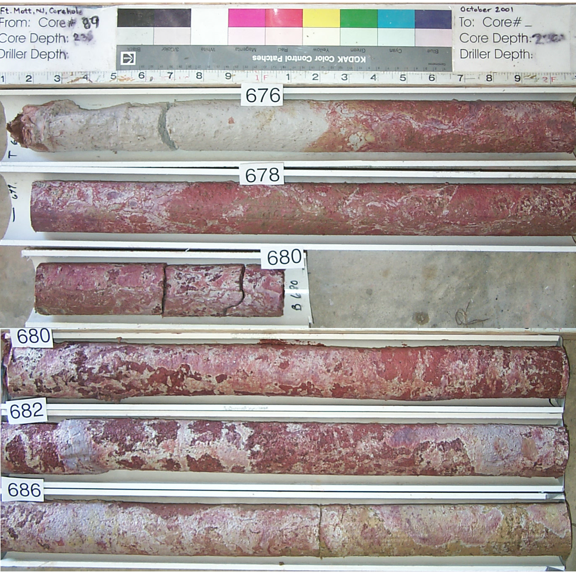 Fort Mott soils