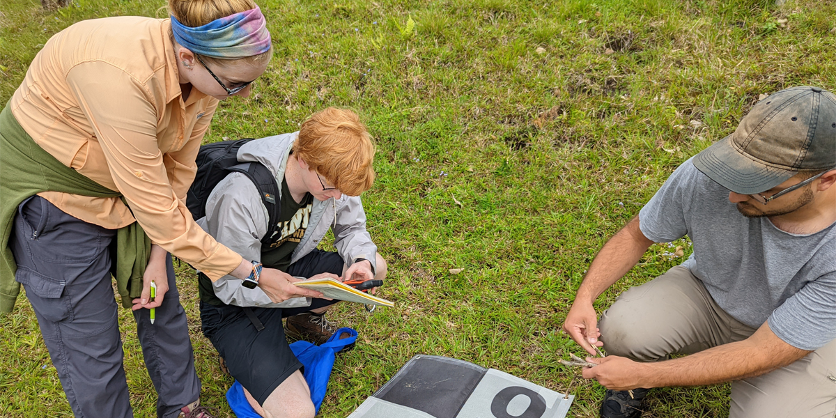 Undergraduate Honors top image