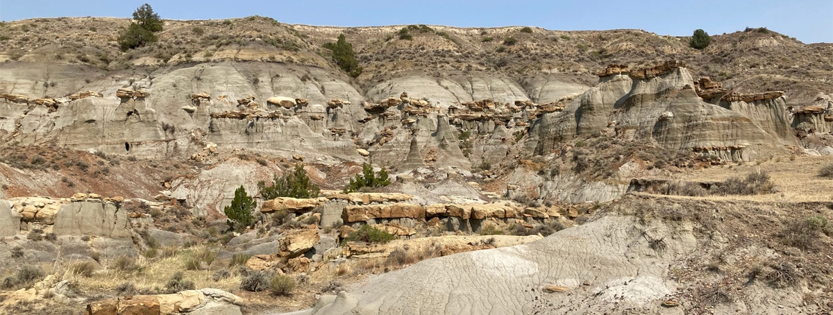 Desert landscape