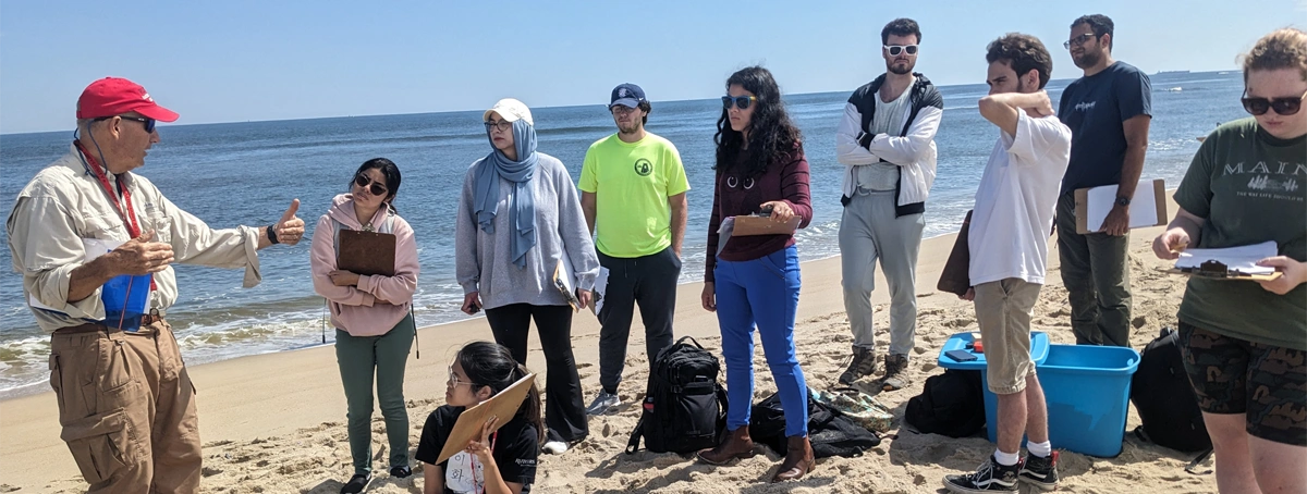 Lesson at a beach
