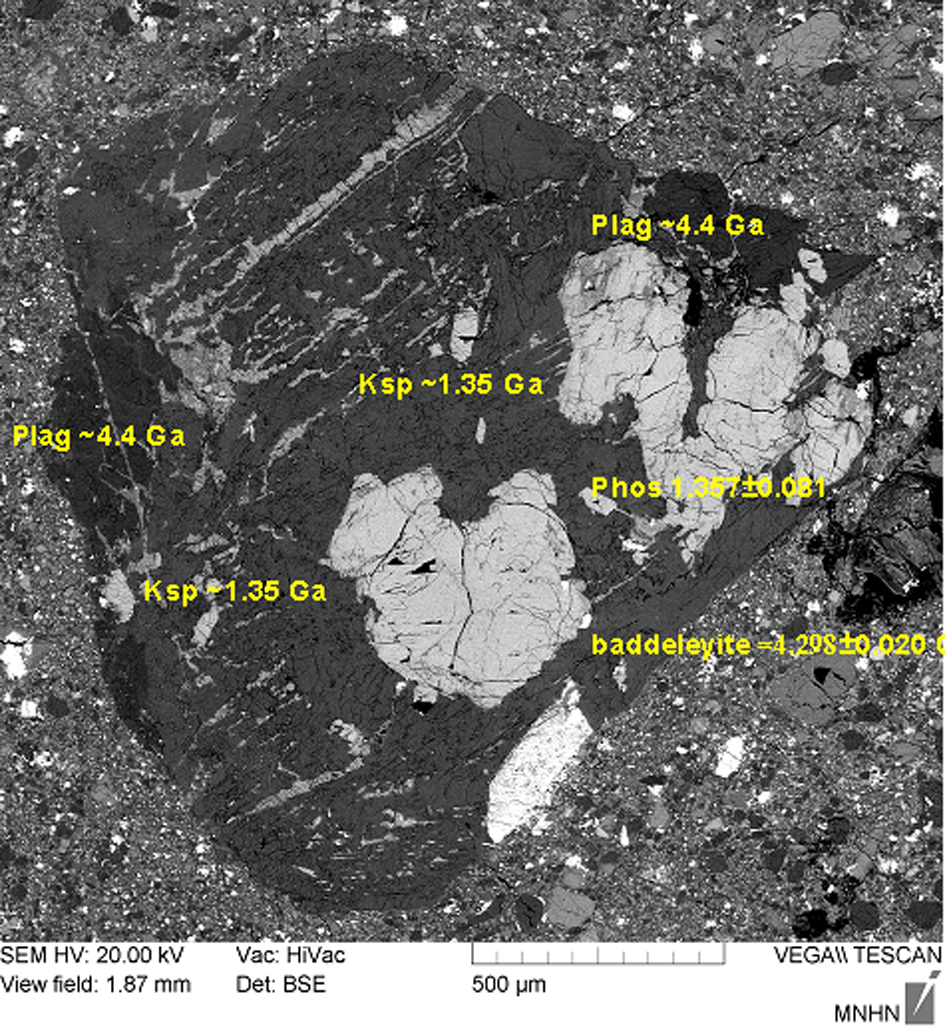 Figure 31