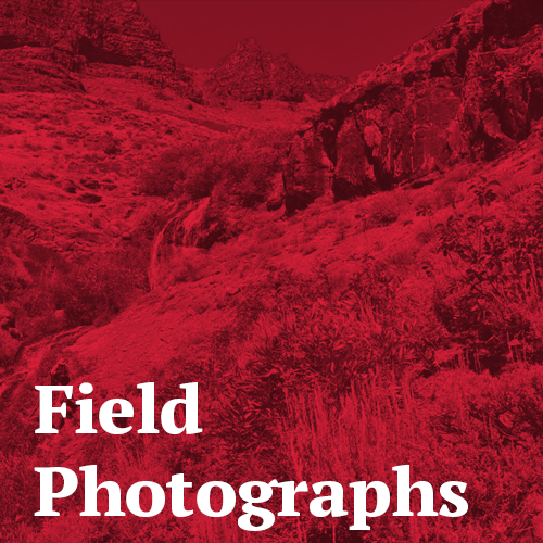 field photos volcano