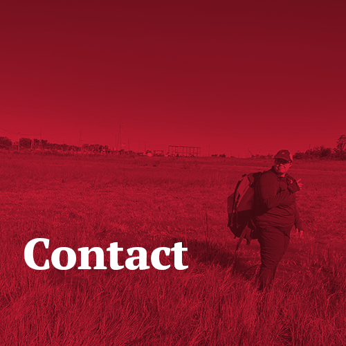 Contact