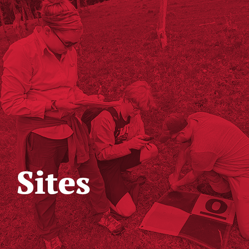 Sites