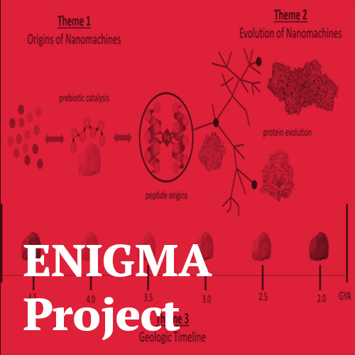 ENIGMA Project