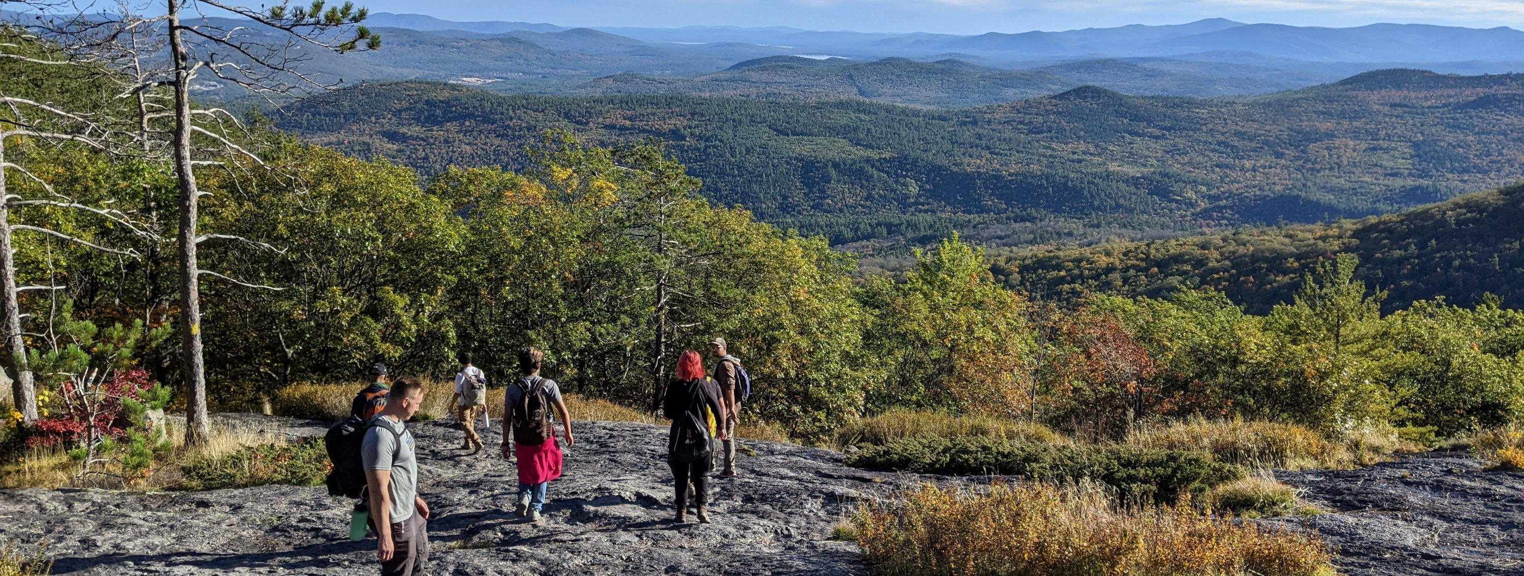 Students in the field