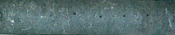 Hornerstown Formation from the Millville corehole
