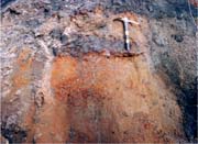 The contact between the Navesink Formation above and the Mount Laurel sand below