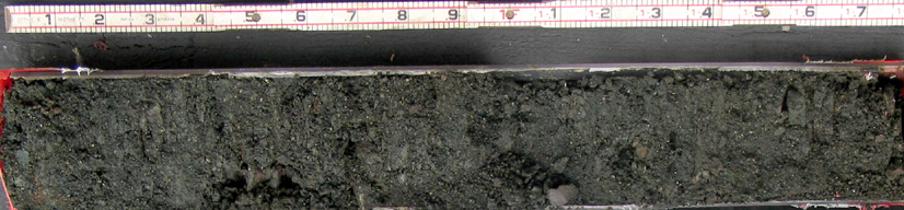 Tinton Formation from the Tighe Park 3 core