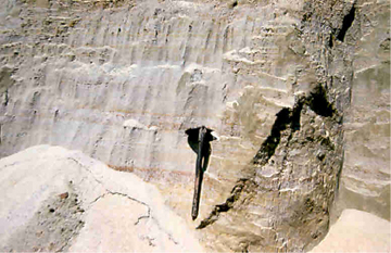 Vincentown Formation near Eatontown