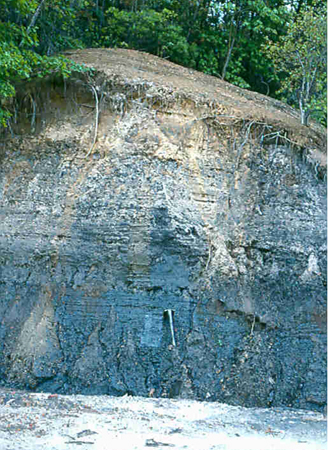 cliffwood