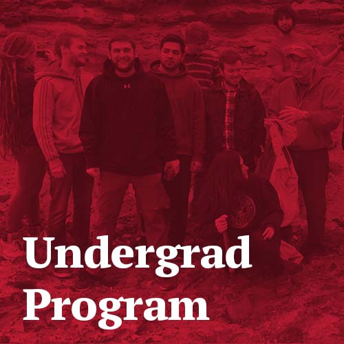 Undergraduate Program