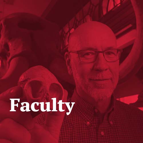 Faculty