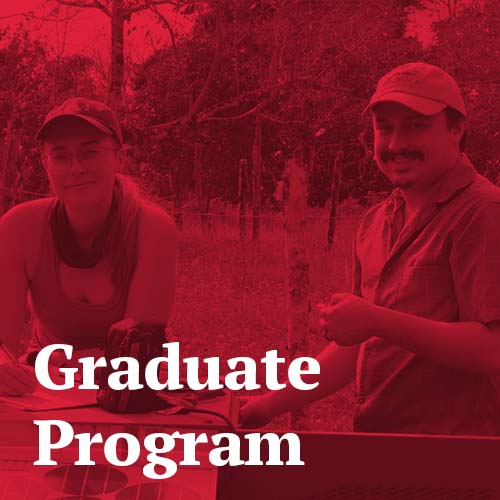 Graduate Program