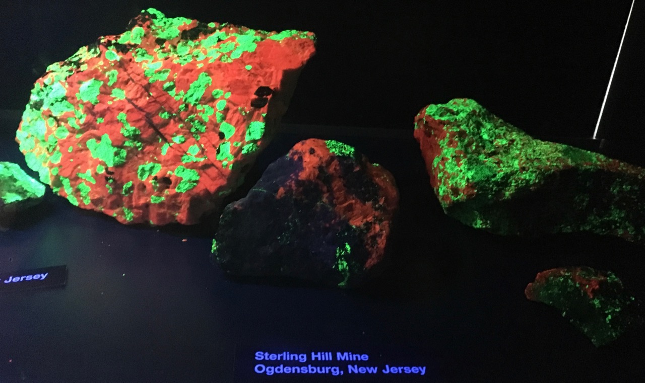 Fluorescent mineral exhibit / Rutgers Geology Museum IMG 1498