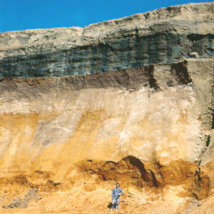 Cretaceous/ Paleogene Boundary