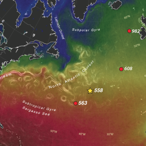 Western North Atlantic